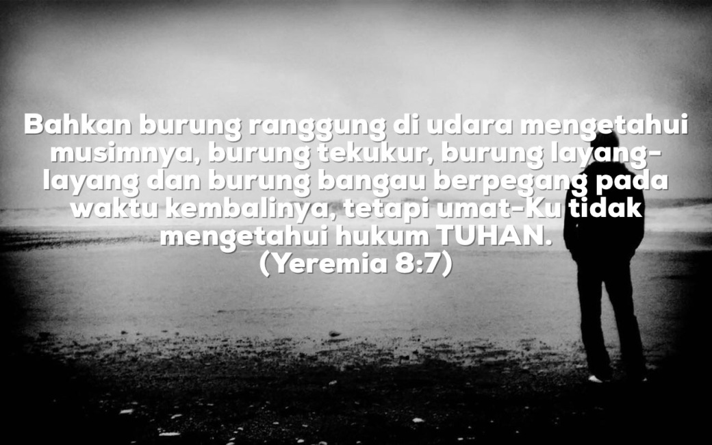 yeremia8